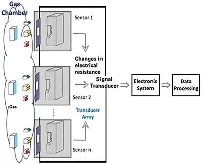 Application of electronic nose and machine learning used to detect soybean gases under water stress and variability throughout the daytime